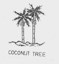 COCONUT TREE 商标公告