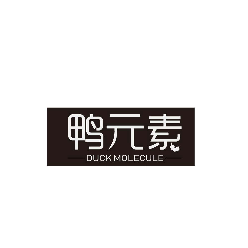 鸭元素 DUCK MOLECULE 商标公告