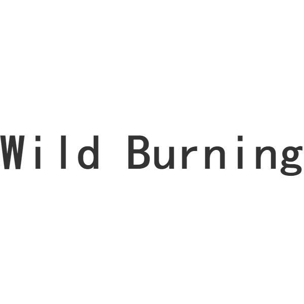 WILD BURNING 商标公告