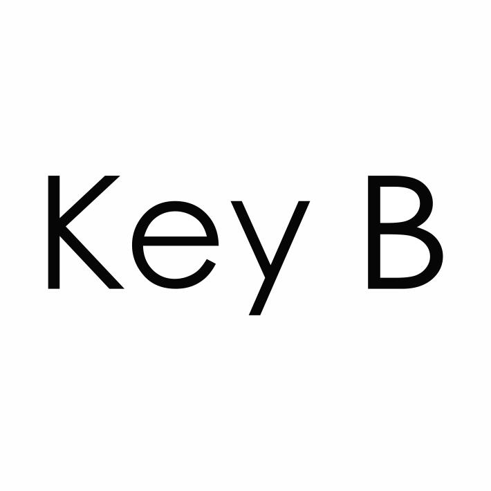 KEY B 商标公告
